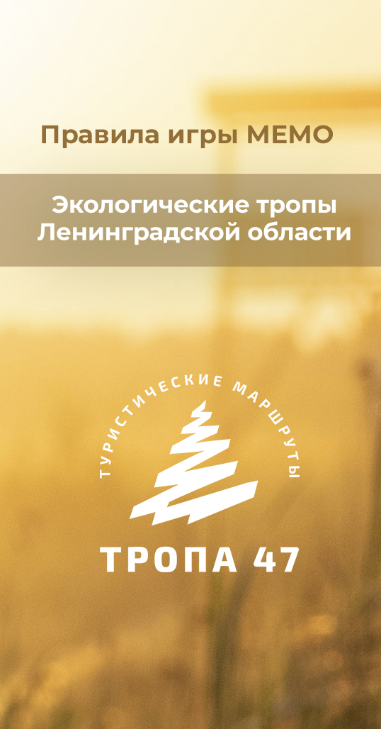 Правила игры 